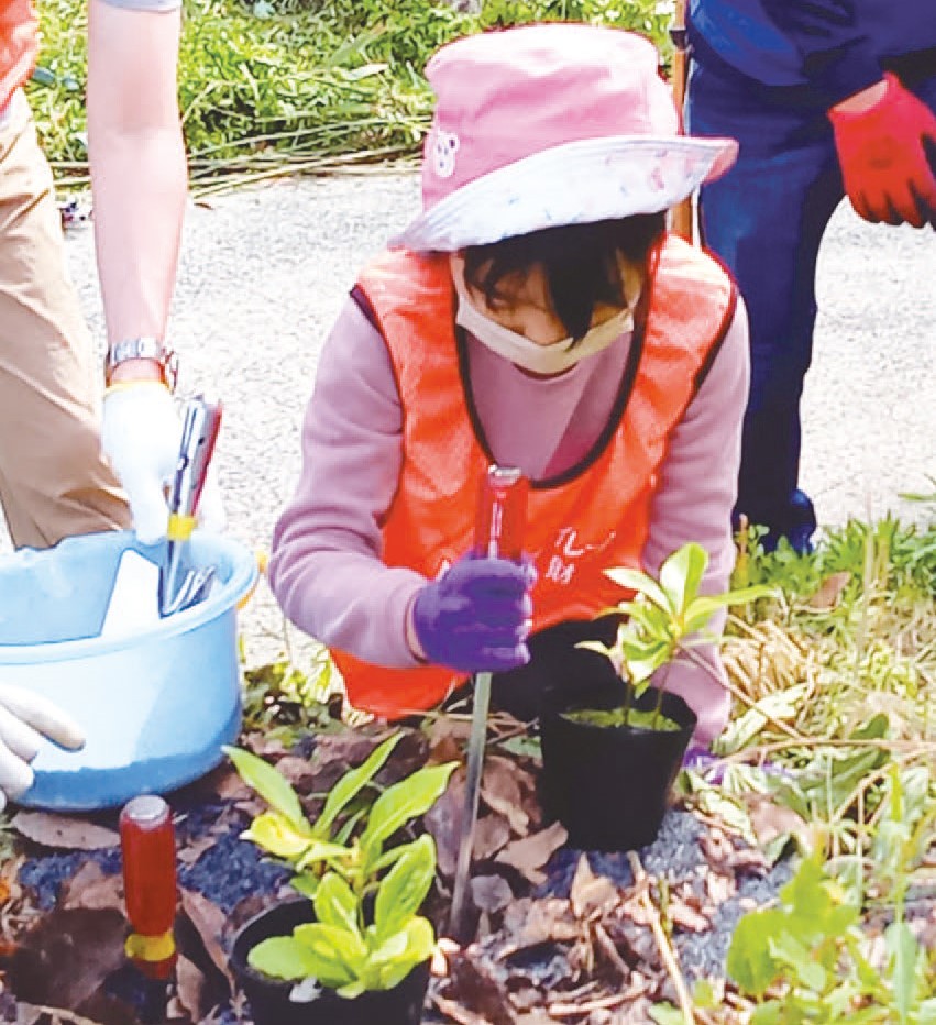 植林活動