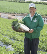 Seven Farms