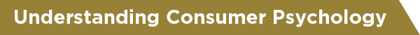 Understanding Consumer Psychology