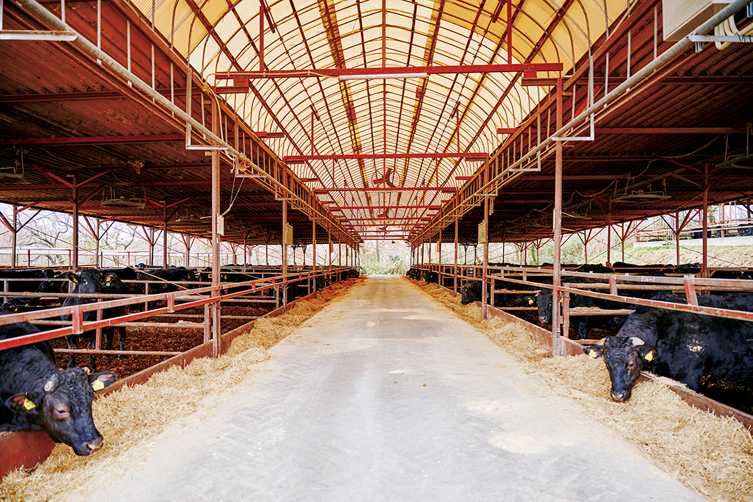 瑞穂農場は畜産では数少ないJGAP認証農場