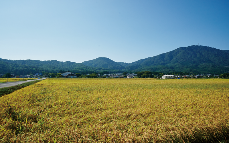 長野県川上村