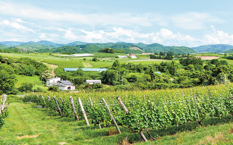 北海道余市郡