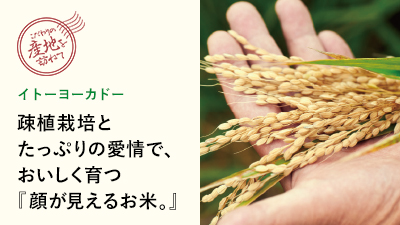 疎植（そしょく）栽培とたっぷりの愛情で、おいしく育つ,顔が見えるお米