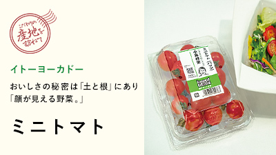 おいしさの秘密は「土と根」にあり「 顔が見える野菜。」ミニトマト イトーヨーカドー