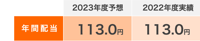 2023年度予想 2022年度実績 年間配当 113.0円 113.0円