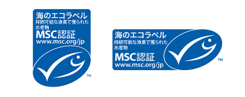 msc.png