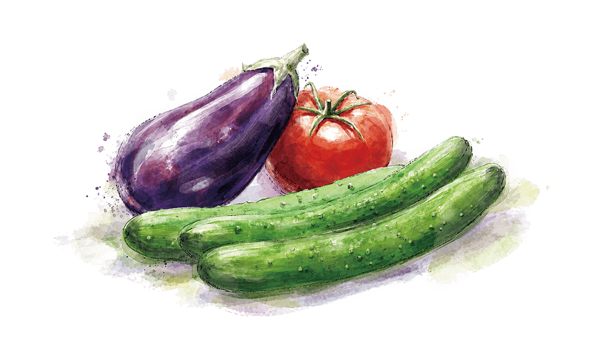 夏野菜のイラスト