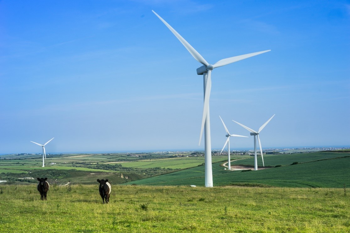 wind_turbines_Texas.jpg