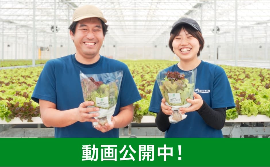 新鮮で、おいしくて、未来につながるレタスのはなし。