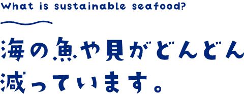 What’s Sustainable seafood 海の魚や貝がどんどん減っています。