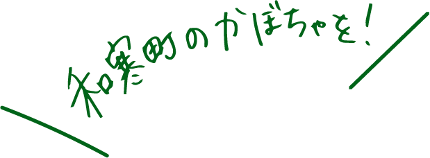 和寒町のかぼちゃを！