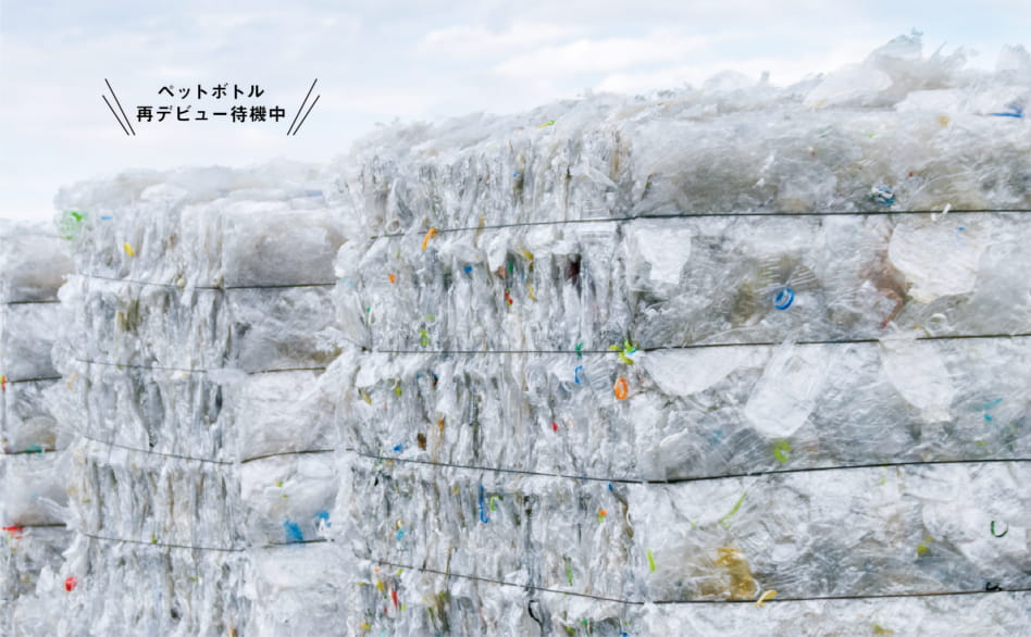 セブン＆アイグループが目指す循環型社会。【FRaU1月号掲載記事】 サステナビリティ セブン＆アイ・ホールディングス