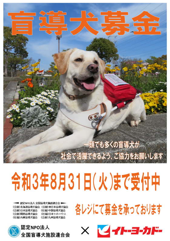 盲導犬２.png